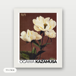 Kazamusa - Peony