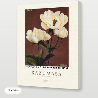 Kazumasa - Peony