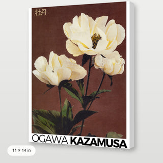 Kazamusa - Peony