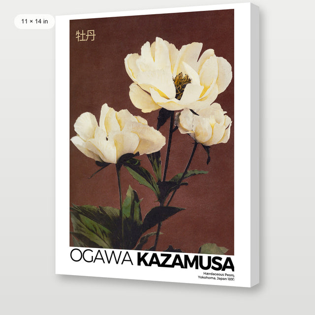 Kazumasa - Peony, Gallery Wrap