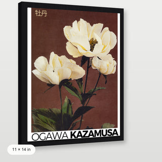 Kazamusa - Peony