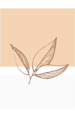 Leaf Trio P2
