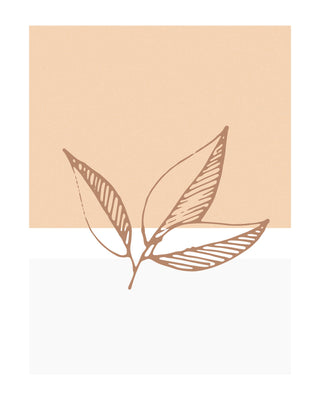 Leaf Trio P2