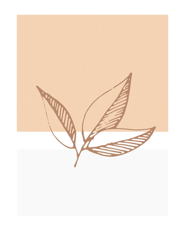 Leaf Trio P2, Full Bleed