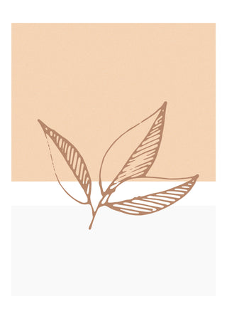 Leaf Trio P2