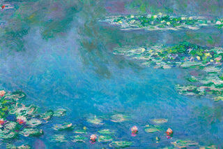 Matisse - Water Lilies P2