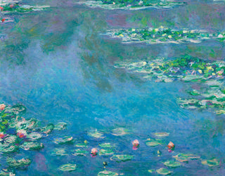 Matisse - Water Lilies P2