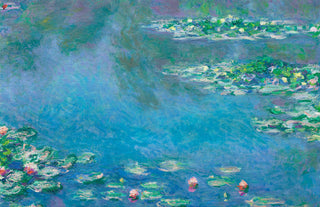 Matisse - Water Lilies P2