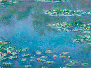 Matisse - Water Lilies P2