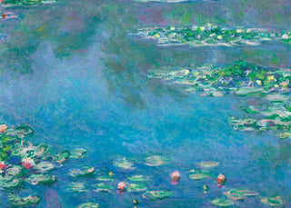 Matisse - Water Lilies P2