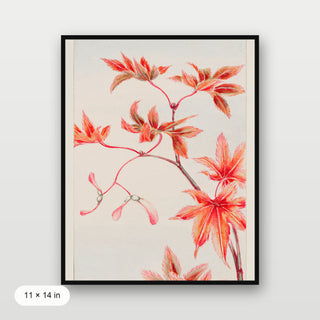 Morikaga - Branch of Momiji
