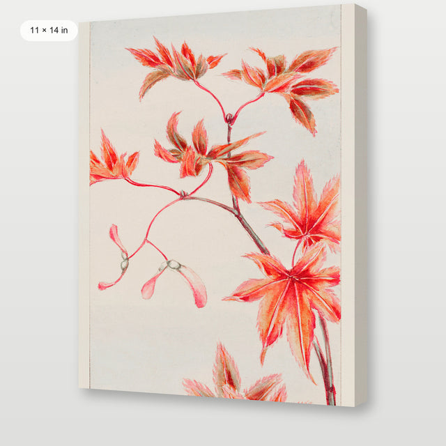 Morikaga - Branch of Momiji, Gallery Wrap