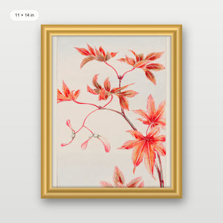 Morikaga - Branch of Momiji