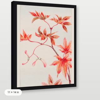 Morikaga - Branch of Momiji