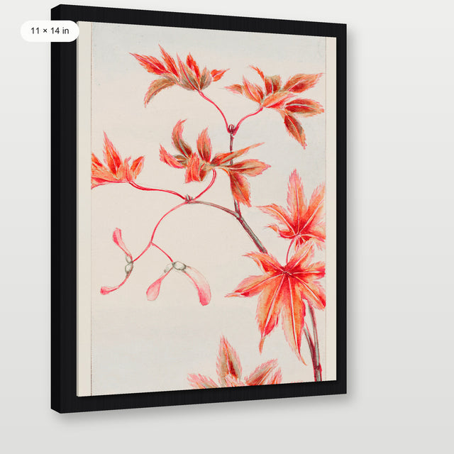 Morikaga - Branch of Momiji, Black Floater Frame