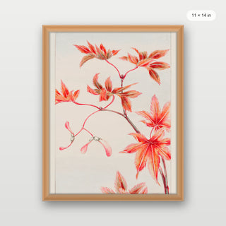 Morikaga - Branch of Momiji