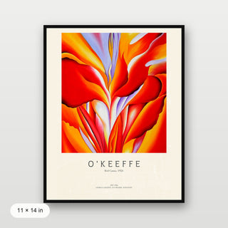 Okeeffe - Red Canna