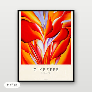 Okeeffe - Red Canna