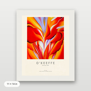 Okeeffe - Red Canna