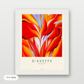 Okeeffe - Red Canna