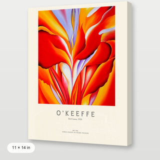 Okeeffe - Red Canna