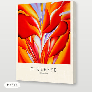 Okeeffe - Red Canna