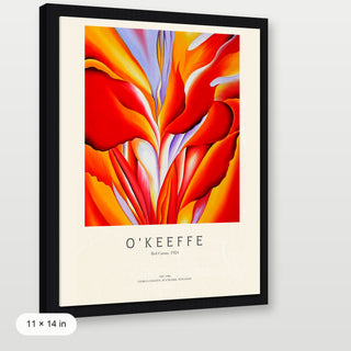Okeeffe - Red Canna