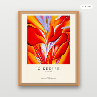 Okeeffe - Red Canna