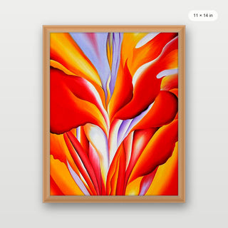 Okeeffe - Red Canna