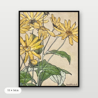 Overbeck - Sunflowers