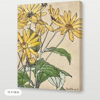 Overbeck - Sunflowers