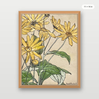 Overbeck - Sunflowers