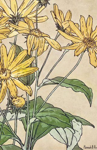 Overbeck - Sunflowers