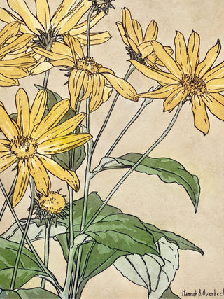 Overbeck - Sunflowers