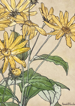 Overbeck - Sunflowers