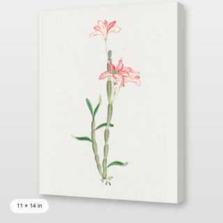 Sakoku Flower