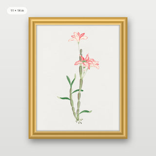 Sakoku Flower