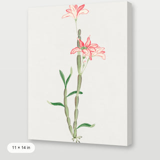 Sakoku Flower