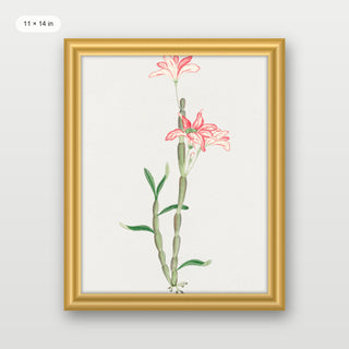 Sakoku Flower