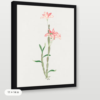 Sakoku Flower