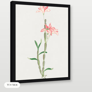 Sakoku Flower