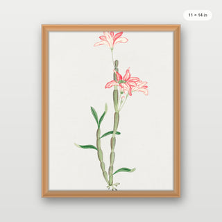 Sakoku Flower