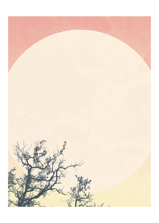 Stay