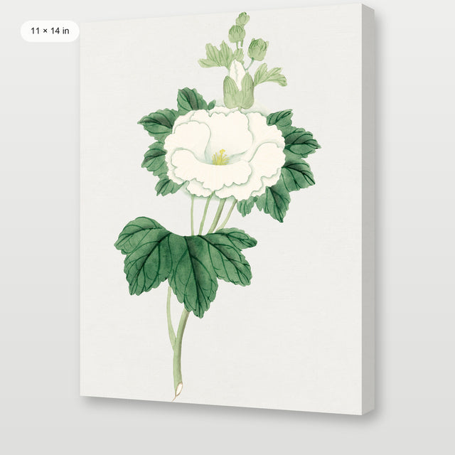 Tachi Aoi Flower, Gallery Wrap