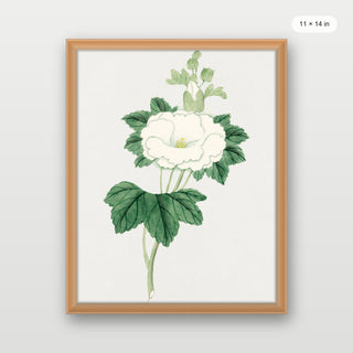 Tachi Aoi Flower