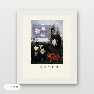 Thayer - Flower Studies