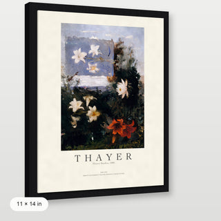 Thayer - Flower Studies