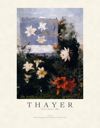 Thayer - Flower Studies