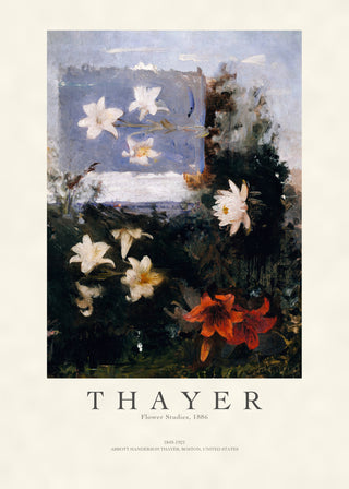 Thayer - Flower Studies
