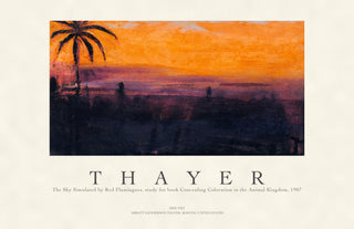 Thayer - the Sky Simulated